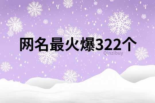 網名最火爆322個