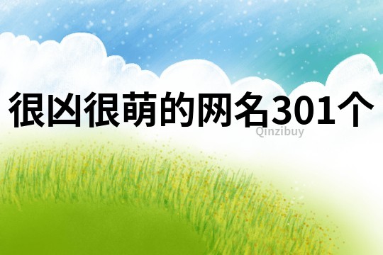 很兇很萌的網(wǎng)名301個(gè)