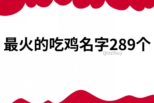 最火的吃雞名字289個