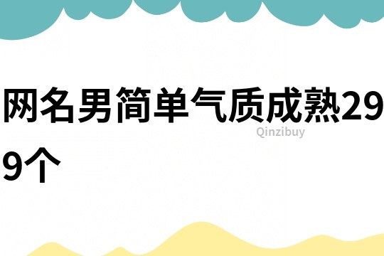 網(wǎng)名男簡單氣質(zhì)成熟299個(gè)