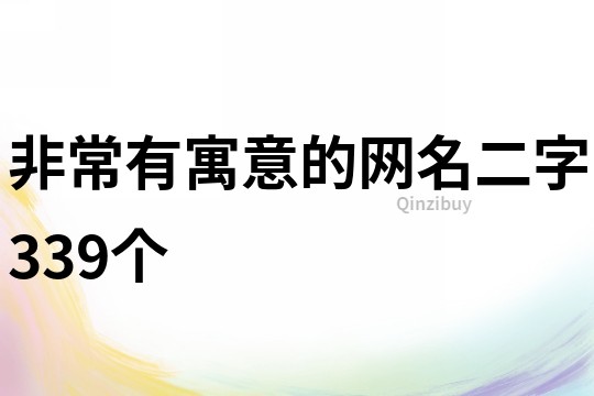 非常有寓意的網名二字339個