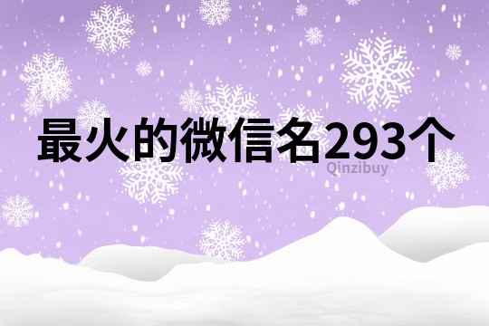 最火的微信名293個