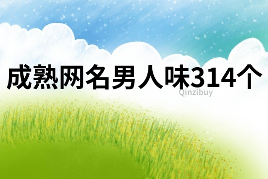 成熟網名男人味314個