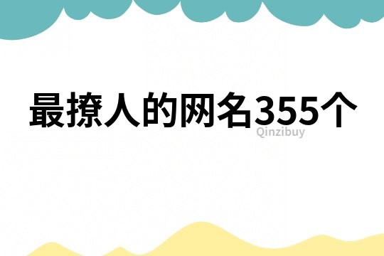 最撩人的網(wǎng)名355個