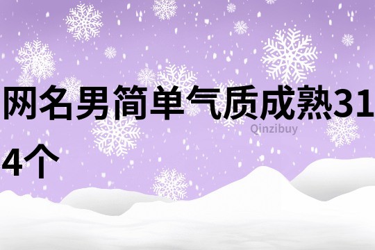 網名男簡單氣質成熟314個