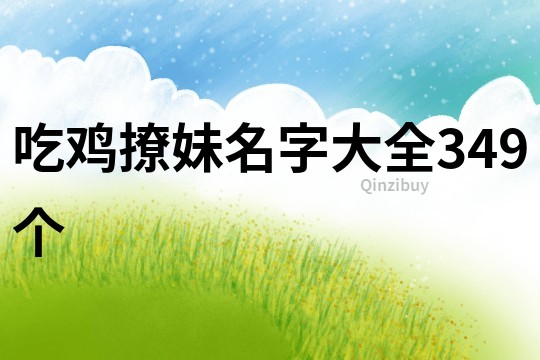 吃雞撩妹名字大全349個