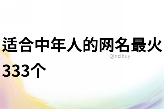 適合中年人的網名最火333個