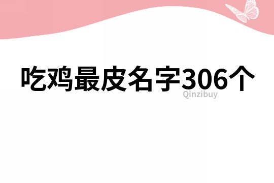 吃雞最皮名字306個