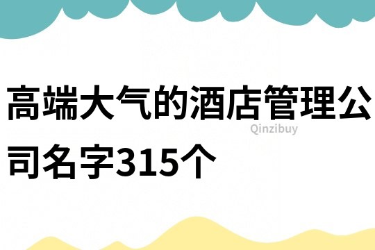 高端大氣的酒店管理公司名字315個