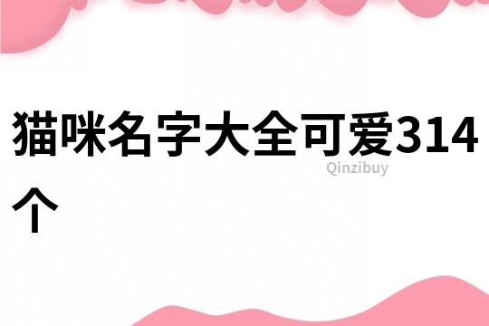 貓咪名字大全可愛314個(gè)
