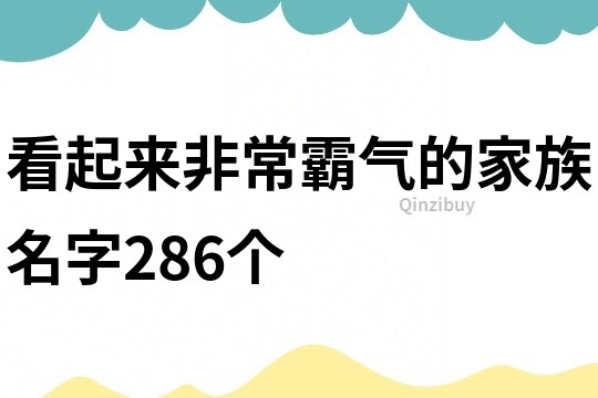看起來非常霸氣的家族名字286個