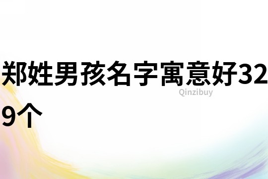 鄭姓男孩名字寓意好329個