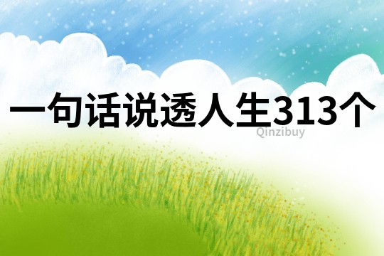 一句話說透人生313個(gè)