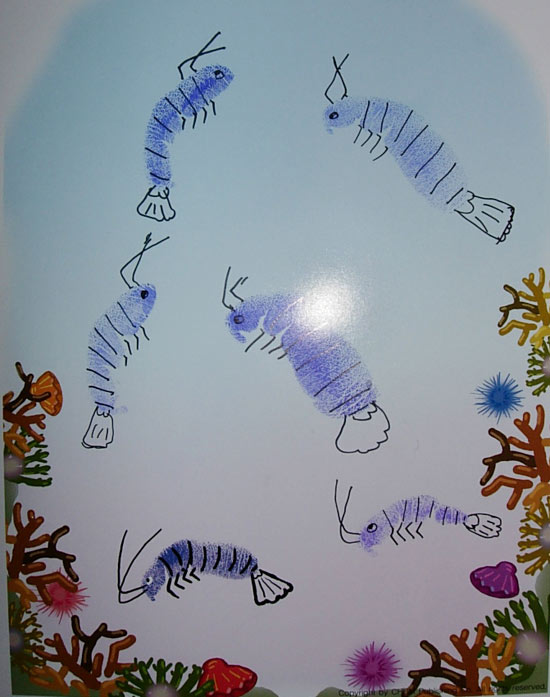 幼兒園大班美術教案:海里的蝦