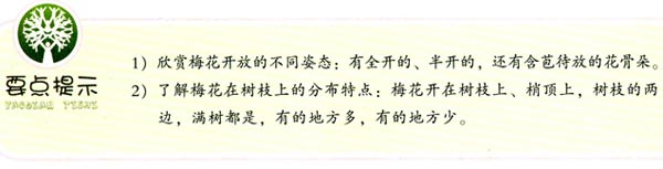 幼兒園大班畫畫教案設(shè)計:梅花