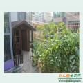 幼兒園校園環境_我們的田園