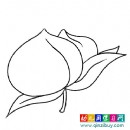 兩個好吃的桃子（幼兒簡筆畫）